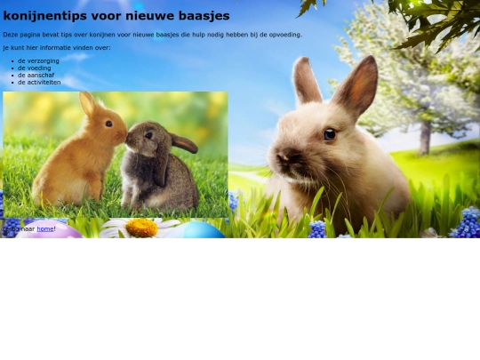konijnentips screenshot