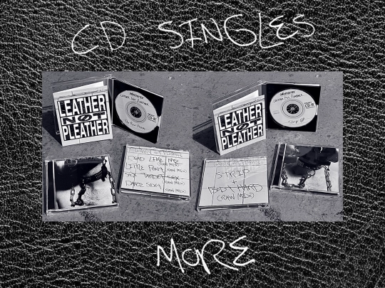 CDsingle screenshot