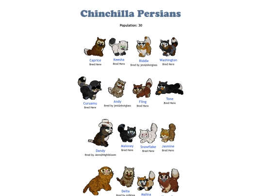 chinchilla-persian screenshot