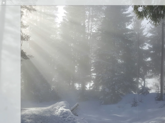 Other-Pages/Blog/Learning/Learning screenshot