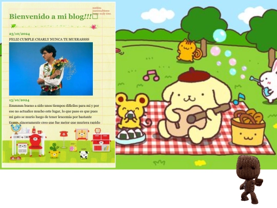 diary screenshot