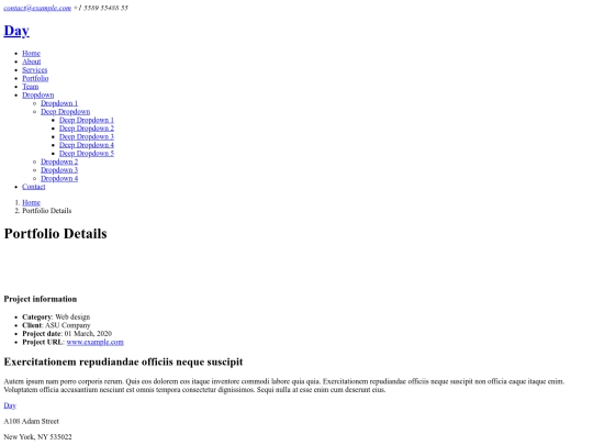 portfolio-details screenshot