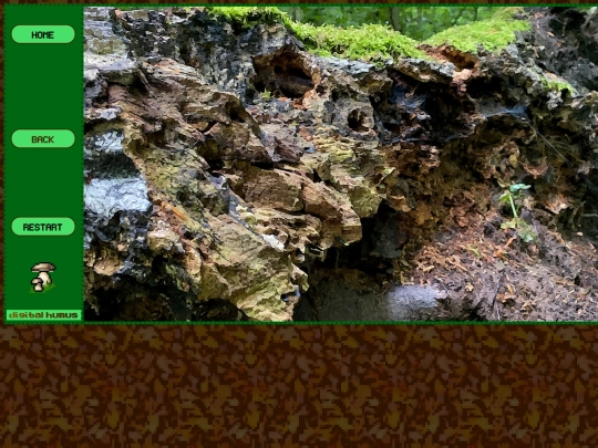 projects/NaSaun/BR/25-06/007 screenshot