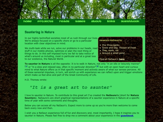projects/NaSaun screenshot