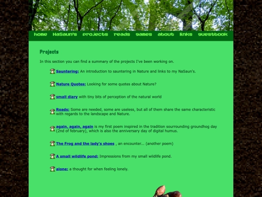projects screenshot