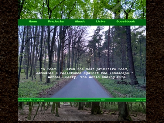 projects/roads screenshot