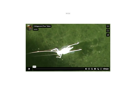 cottagecore screenshot