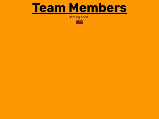team_members screenshot