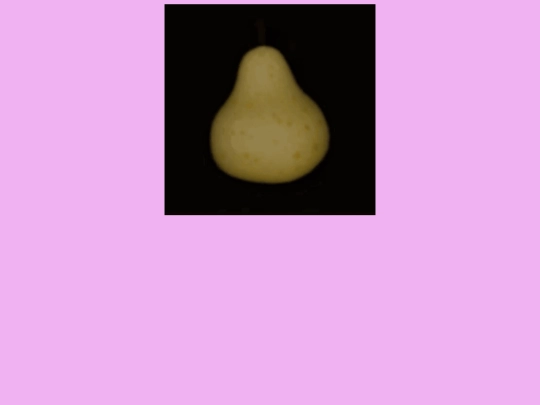 teto screenshot