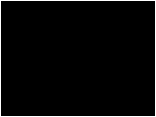 WindowsXP/app/cmd screenshot