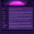 huntrgrey.yorniq.xyz avatar