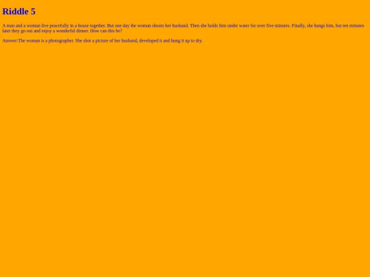 riddle5 screenshot