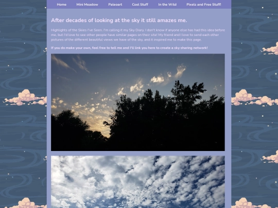 skydiary screenshot