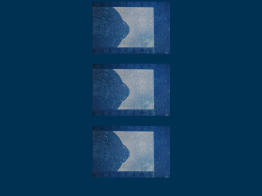 cyanotypes screenshot