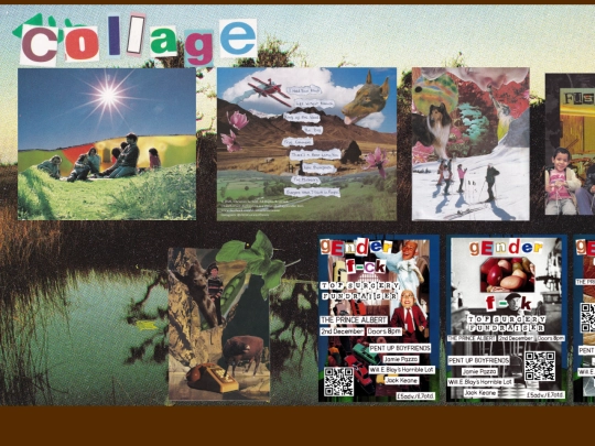 collage screenshot