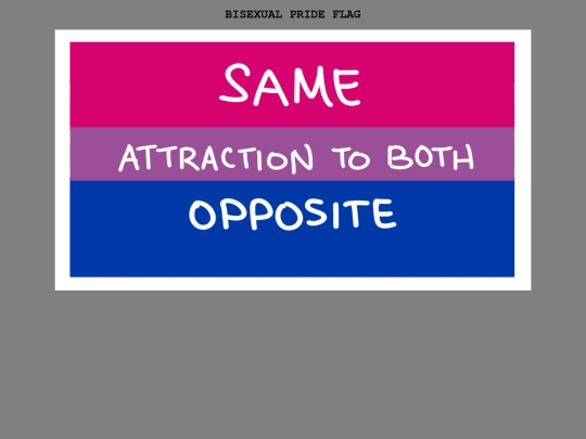 bi screenshot