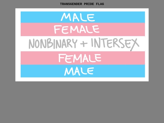 trans screenshot