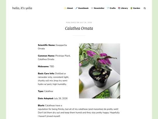 blog/calathea-ornata screenshot