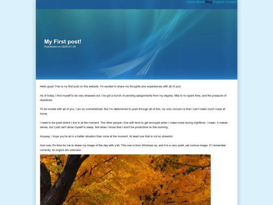 Posts/myfirstpostever screenshot
