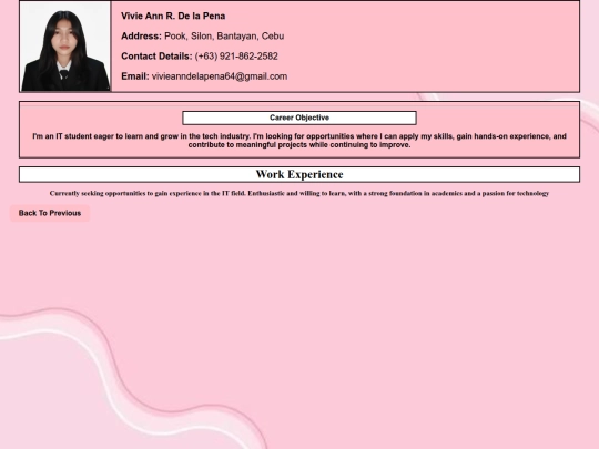 Workexperience screenshot