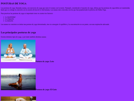 INFORMATICA/posturas screenshot