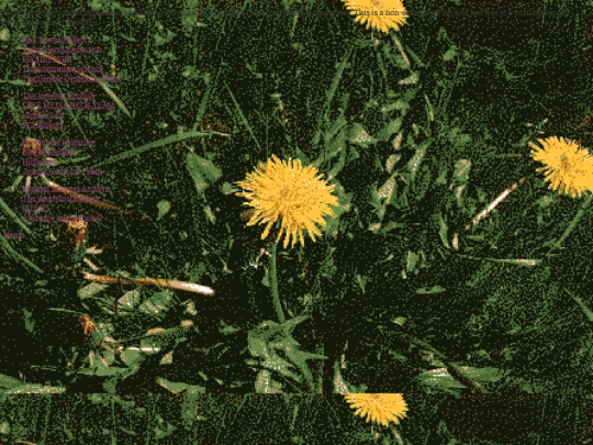 links screenshot