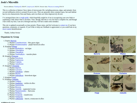 microlife screenshot