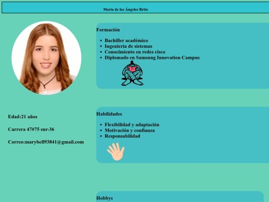 CV screenshot