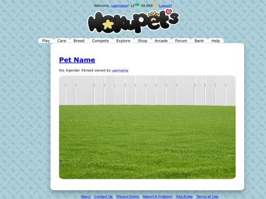 play screenshot