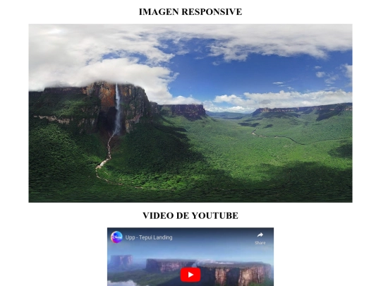 RESPONSIVEentregar screenshot