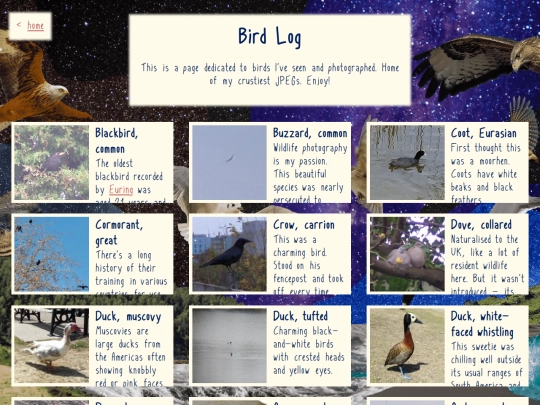 birdzone/birdzone screenshot