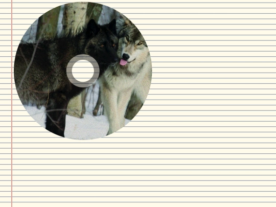 test screenshot