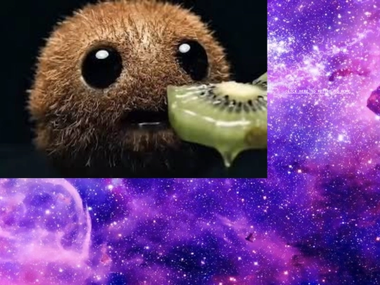 kiwi screenshot