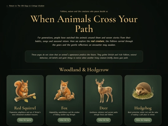 animals-cross-your-path screenshot