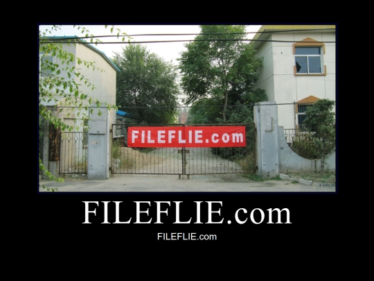 fileflie.com screenshot