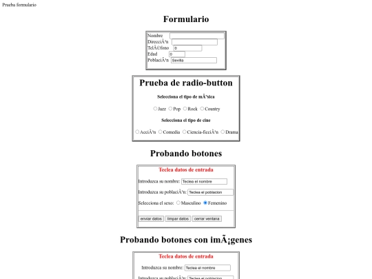 ejemplo_formulario screenshot