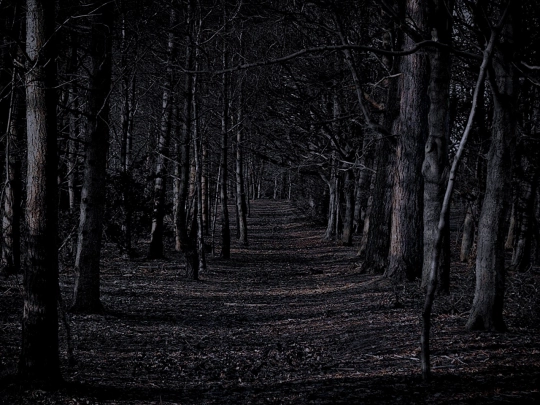scene1 screenshot