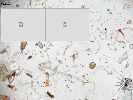 videos screenshot