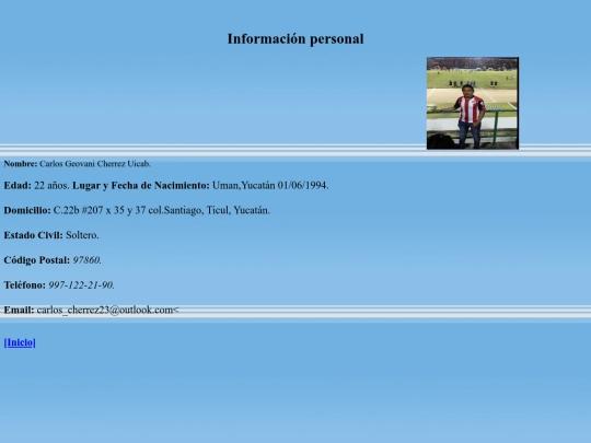 actividad24/curriculum_vitae screenshot