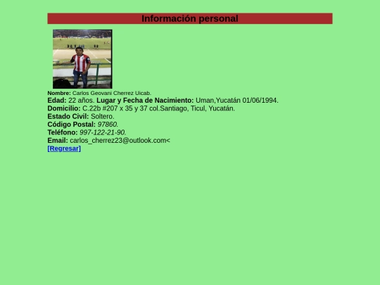 actividad31/curriculum_vitae screenshot