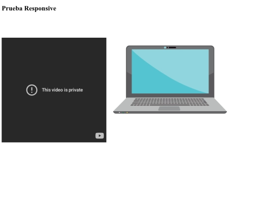 Página Responsive screenshot