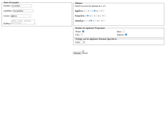 practicas/formulario screenshot
