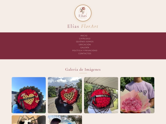 Galería de imágenes screenshot