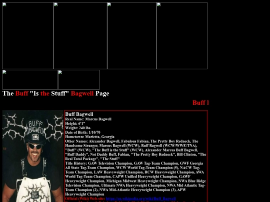 nwo/Buff_Bagwell_nWo_Page screenshot