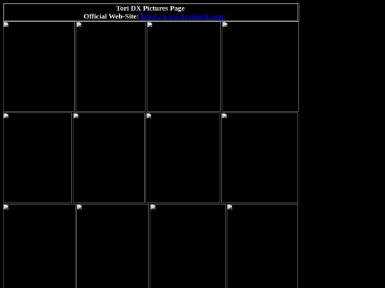 nwo/DX/tori_dx_pictures_page screenshot