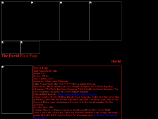 nwo/David_Flair_nWo_Wolfpac_Page screenshot