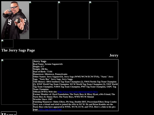 nwo/Jerry_Sags_nWo_Friend_Page screenshot