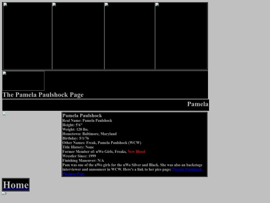 nwo/Pamela_Paulshock_nWo_Girl_Page screenshot