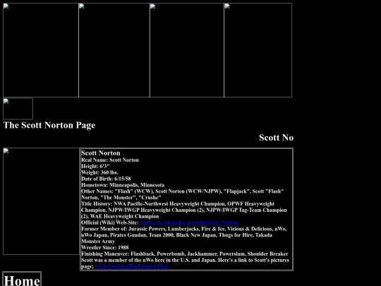 nwo/Scott_Norton_nWo_Page screenshot