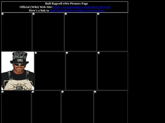 nwo/buff_bagwell_nWo_pictures_page screenshot